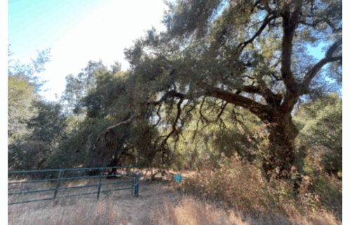 olympia watershed, felton, Resource Conservation District of Santa Cruz